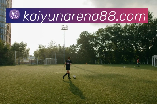 开云体育APP 封面图